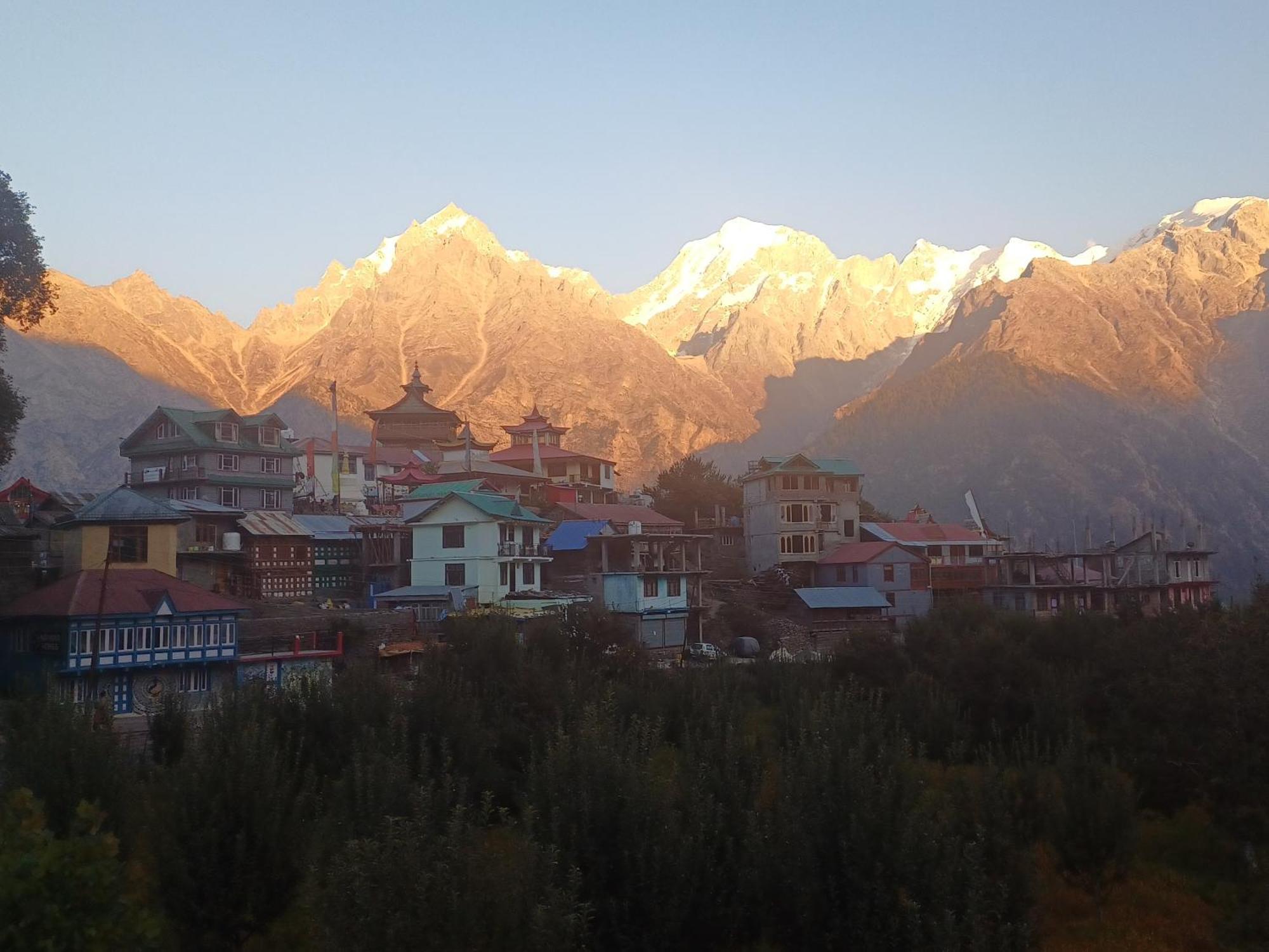 Pine View Retreat * Kalpa